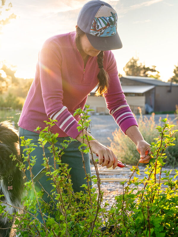 Women's 1/4 Zip Merino Blend Sweater: Kickstart