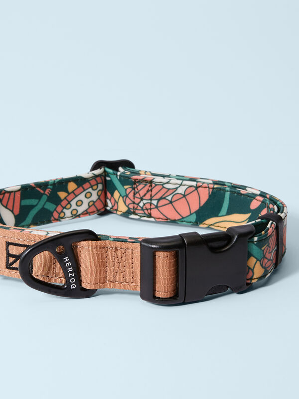 Herzog Artist Series Dog Collar